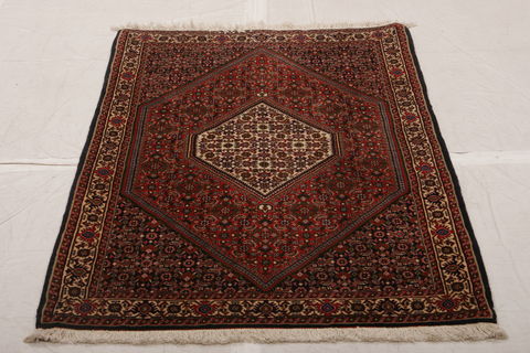 Bidjar Multicolor Hand Knotted 33 X 52  Area Rug 155-75889 Image 1