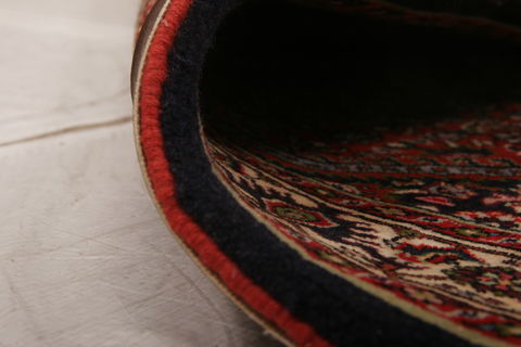 Bidjar Multicolor Hand Knotted 33 X 52  Area Rug 155-75889 Image 5