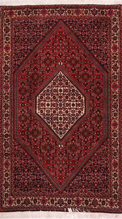 Bidjar Multicolor Hand Knotted 33 X 52  Area Rug 155-75889 Image 0