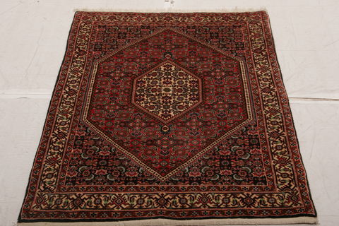 Bidjar Multicolor Hand Knotted 210 X 47  Area Rug 155-75915 Image 1