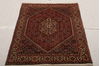 Bidjar Multicolor Hand Knotted 210 X 47  Area Rug 155-75915 Thumb 1