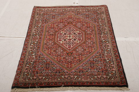 Bidjar Multicolor Hand Knotted 210 X 48  Area Rug 155-75916 Image 1