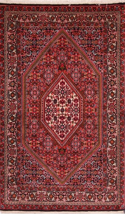 Bidjar Multicolor Hand Knotted 210 X 48  Area Rug 155-75916 Image 0