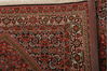 Bidjar Multicolor Hand Knotted 210 X 48  Area Rug 155-75916 Thumb 4