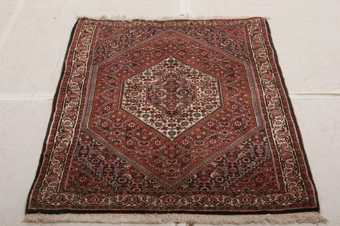Bidjar Multicolor Hand Knotted 31 X 54 Area Rug 155-75917 Image 1