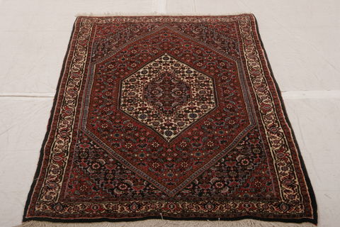 Bidjar Multicolor Hand Knotted 31 X 54 Area Rug 155-75917 Image 2