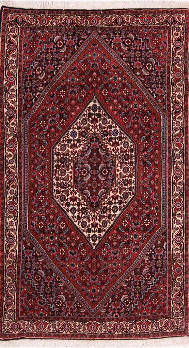 Bidjar Multicolor Hand Knotted 31 X 54 Area Rug 155-75917 Image 0