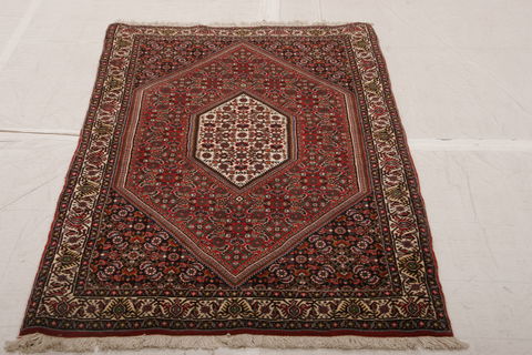 Bidjar Multicolor Hand Knotted 211 X 54  Area Rug 155-75918 Image 2