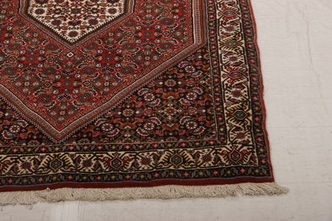 Bidjar Multicolor Hand Knotted 211 X 54  Area Rug 155-75918 Image 4