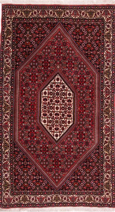 Bidjar Multicolor Hand Knotted 211 X 54  Area Rug 155-75918 Image 0