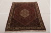 Bidjar Multicolor Hand Knotted 211 X 54  Area Rug 155-75918 Thumb 1