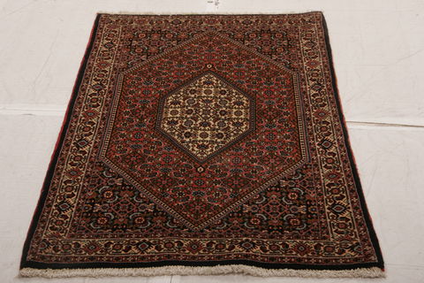 Bidjar Multicolor Hand Knotted 210 X 49  Area Rug 155-75919 Image 1