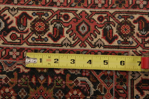 Bidjar Multicolor Hand Knotted 210 X 49  Area Rug 155-75919 Image 6