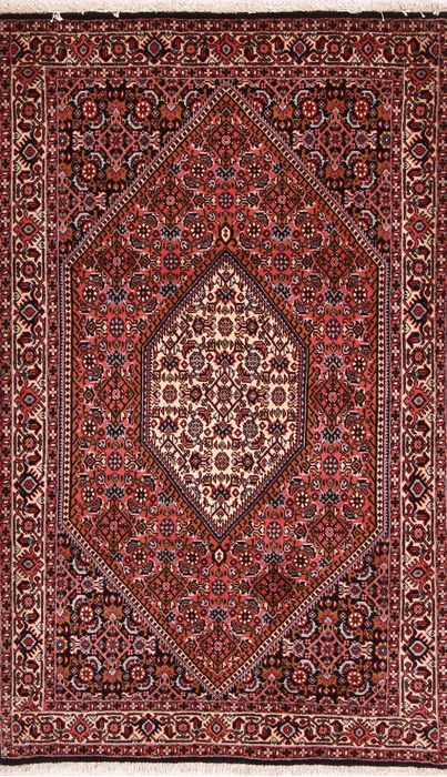 Bidjar Multicolor Hand Knotted 210 X 49  Area Rug 155-75919 Image 0