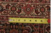 Bidjar Multicolor Hand Knotted 210 X 49  Area Rug 155-75919 Thumb 6