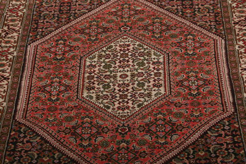 Bidjar Multicolor Hand Knotted 211 X 49  Area Rug 155-75920 Image 1