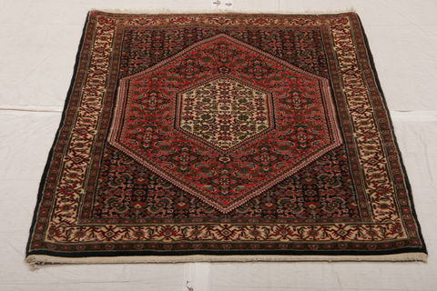 Bidjar Multicolor Hand Knotted 211 X 49  Area Rug 155-75920 Image 2