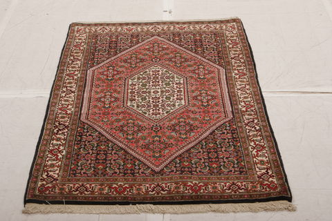 Bidjar Multicolor Hand Knotted 211 X 49  Area Rug 155-75920 Image 7
