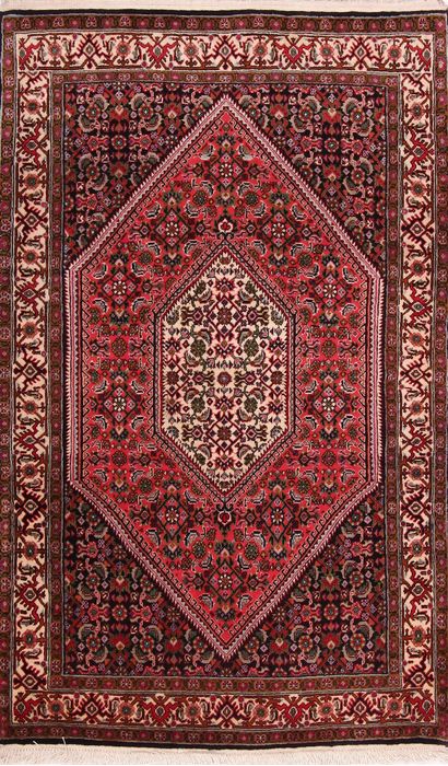 Bidjar Multicolor Hand Knotted 211 X 49  Area Rug 155-75920 Image 0