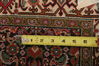 Bidjar Multicolor Hand Knotted 211 X 49  Area Rug 155-75920 Thumb 5