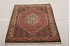 Bidjar Multicolor Hand Knotted 211 X 49  Area Rug 155-75920 Thumb 7