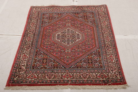 Bidjar Multicolor Hand Knotted 32 X 49  Area Rug 155-75921 Image 2
