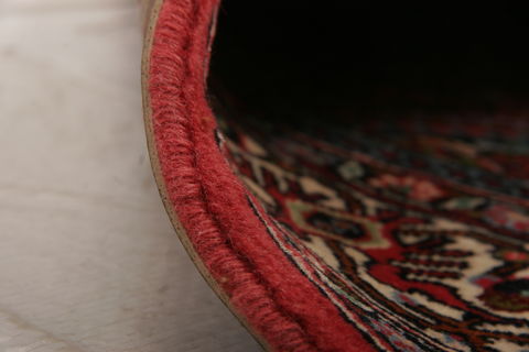 Bidjar Multicolor Hand Knotted 32 X 49  Area Rug 155-75921 Image 6