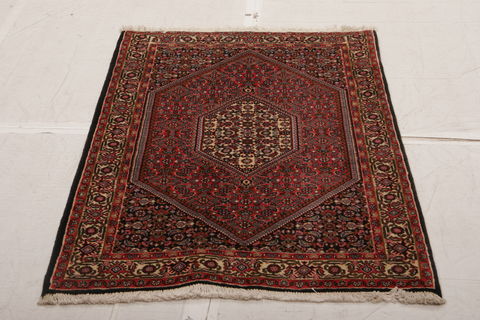 Bidjar Multicolor Hand Knotted 210 X 48 Area Rug 155-75922 Image 5