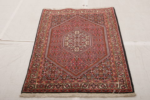 Bidjar Multicolor Hand Knotted 210 X 48 Area Rug 155-75922 Image 6