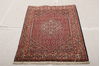 Bidjar Multicolor Hand Knotted 210 X 48  Area Rug 155-75922 Thumb 6