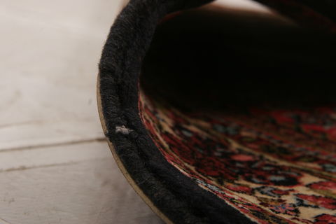 Bidjar Multicolor Hand Knotted 31 X 53  Area Rug 155-75923 Image 6