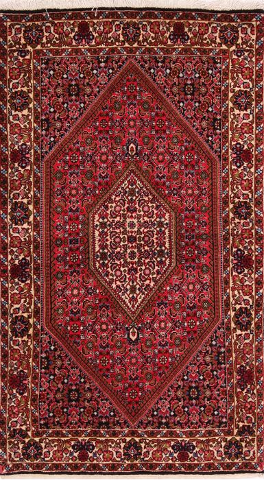 Bidjar Multicolor Hand Knotted 31 X 53  Area Rug 155-75923 Image 0