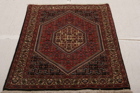 Bidjar Multicolor Hand Knotted 31 X 410  Area Rug 155-75924 Image 1