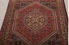 Bidjar Multicolor Hand Knotted 31 X 410  Area Rug 155-75924 Thumb 3