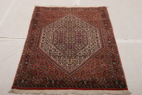 Bidjar Multicolor Hand Knotted 31 X 51  Area Rug 155-75925 Image 2