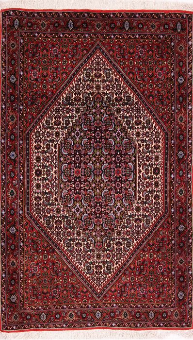 Bidjar Multicolor Hand Knotted 31 X 51  Area Rug 155-75925 Image 0