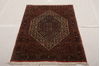 Bidjar Multicolor Hand Knotted 31 X 51  Area Rug 155-75925 Thumb 1