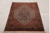 Bidjar Multicolor Hand Knotted 31 X 51  Area Rug 155-75925 Thumb 2