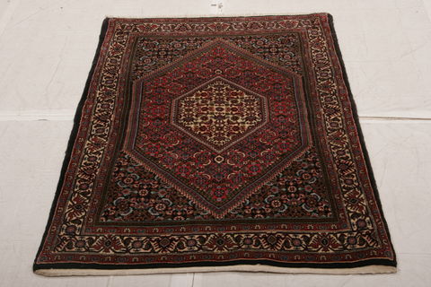 Bidjar Multicolor Hand Knotted 32 X 49  Area Rug 155-75926 Image 1