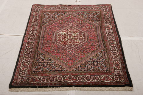 Bidjar Multicolor Hand Knotted 32 X 49  Area Rug 155-75926 Image 2