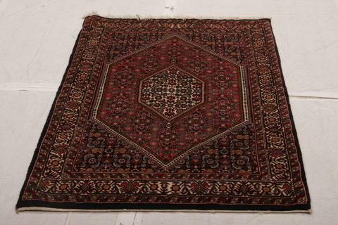 Bidjar Multicolor Hand Knotted 33 X 410 Area Rug 155-75928 Image 1