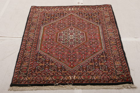 Bidjar Multicolor Hand Knotted 33 X 410 Area Rug 155-75928 Image 2