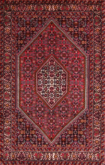 Bidjar Multicolor Hand Knotted 33 X 410 Area Rug 155-75928 Image 0