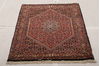 Bidjar Multicolor Hand Knotted 33 X 410 Area Rug 155-75928 Thumb 2