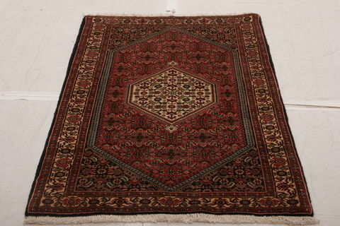 Bidjar Multicolor Hand Knotted 210 X 410  Area Rug 155-75930 Image 1