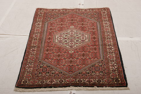Bidjar Multicolor Hand Knotted 210 X 410  Area Rug 155-75930 Image 2