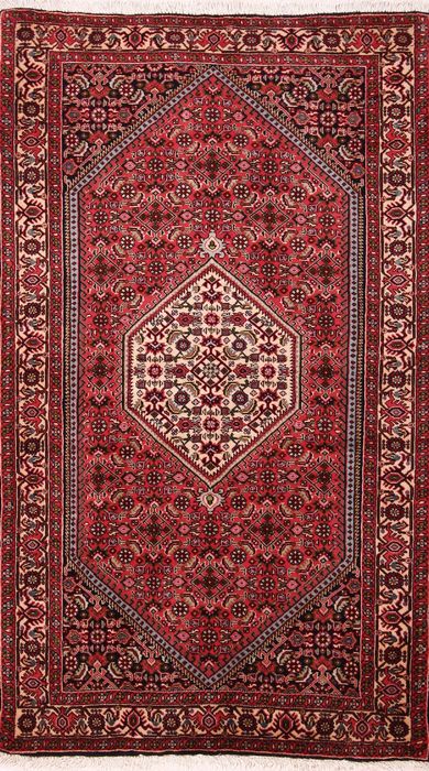 Bidjar Multicolor Hand Knotted 210 X 410  Area Rug 155-75930 Image 0