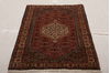 Bidjar Multicolor Hand Knotted 210 X 410  Area Rug 155-75930 Thumb 1