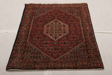 Bidjar Multicolor Hand Knotted 210 X 49  Area Rug 155-75931 Image 1