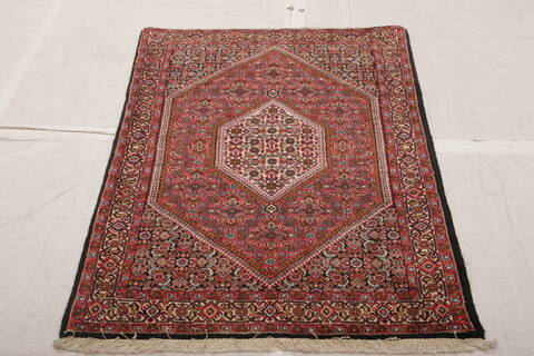 Bidjar Multicolor Hand Knotted 210 X 49  Area Rug 155-75931 Image 2